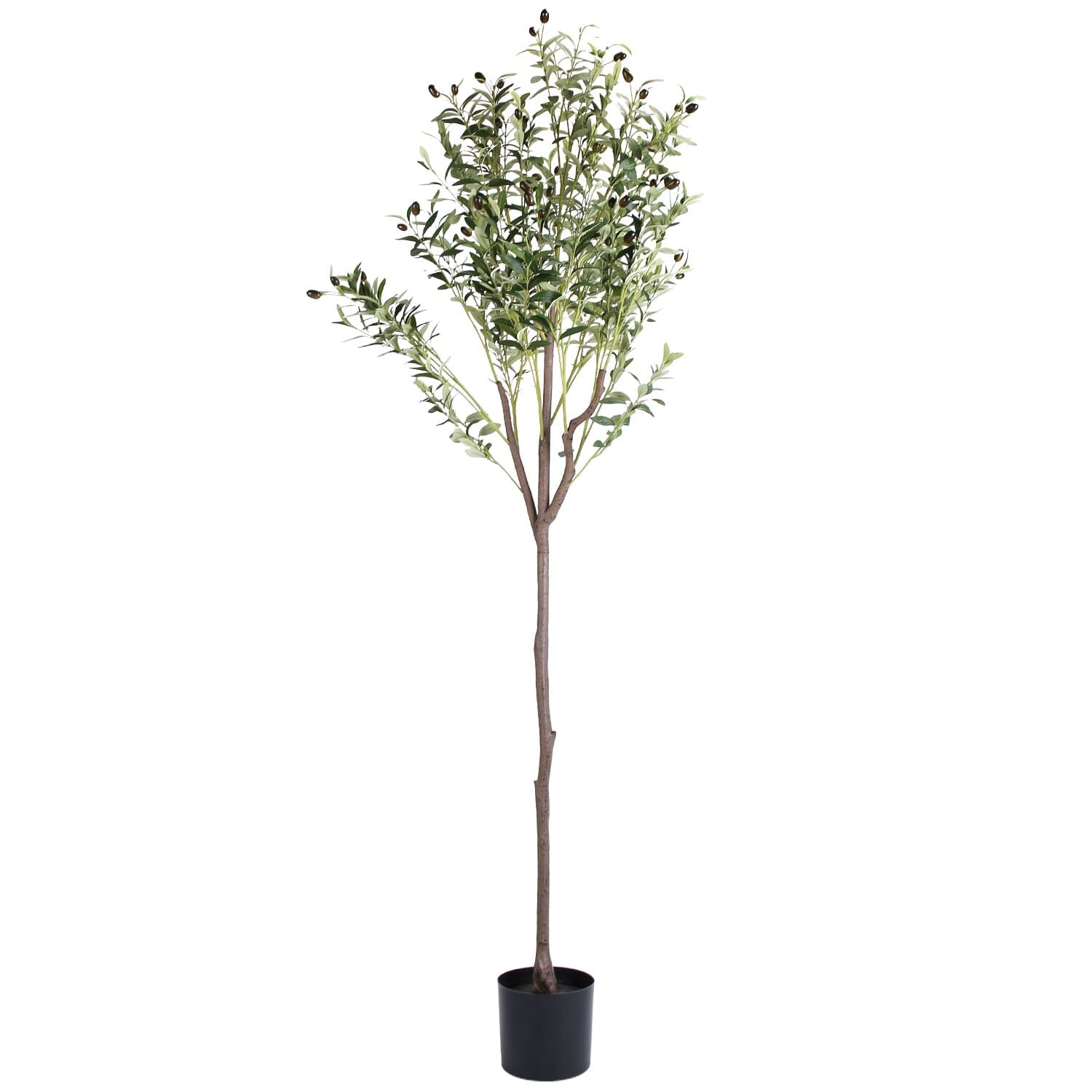 5.9ft Artificial Olive Tree with Lush Olive Branches and Fruits with Black Planter Pot Best Place Sale Online