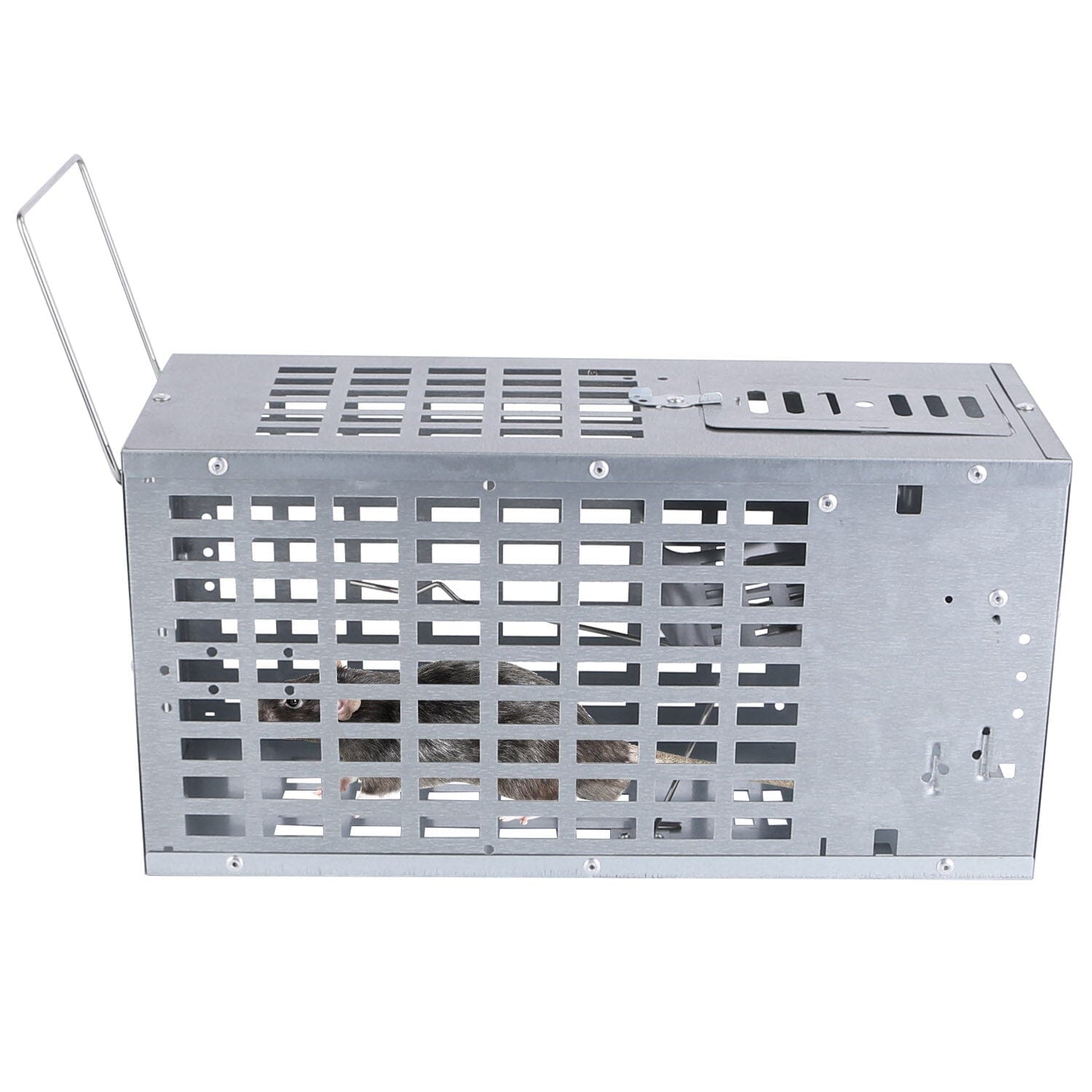 Reusable Metal Rat Cage Catch Release Continuous Capture Sale Lowest Pice