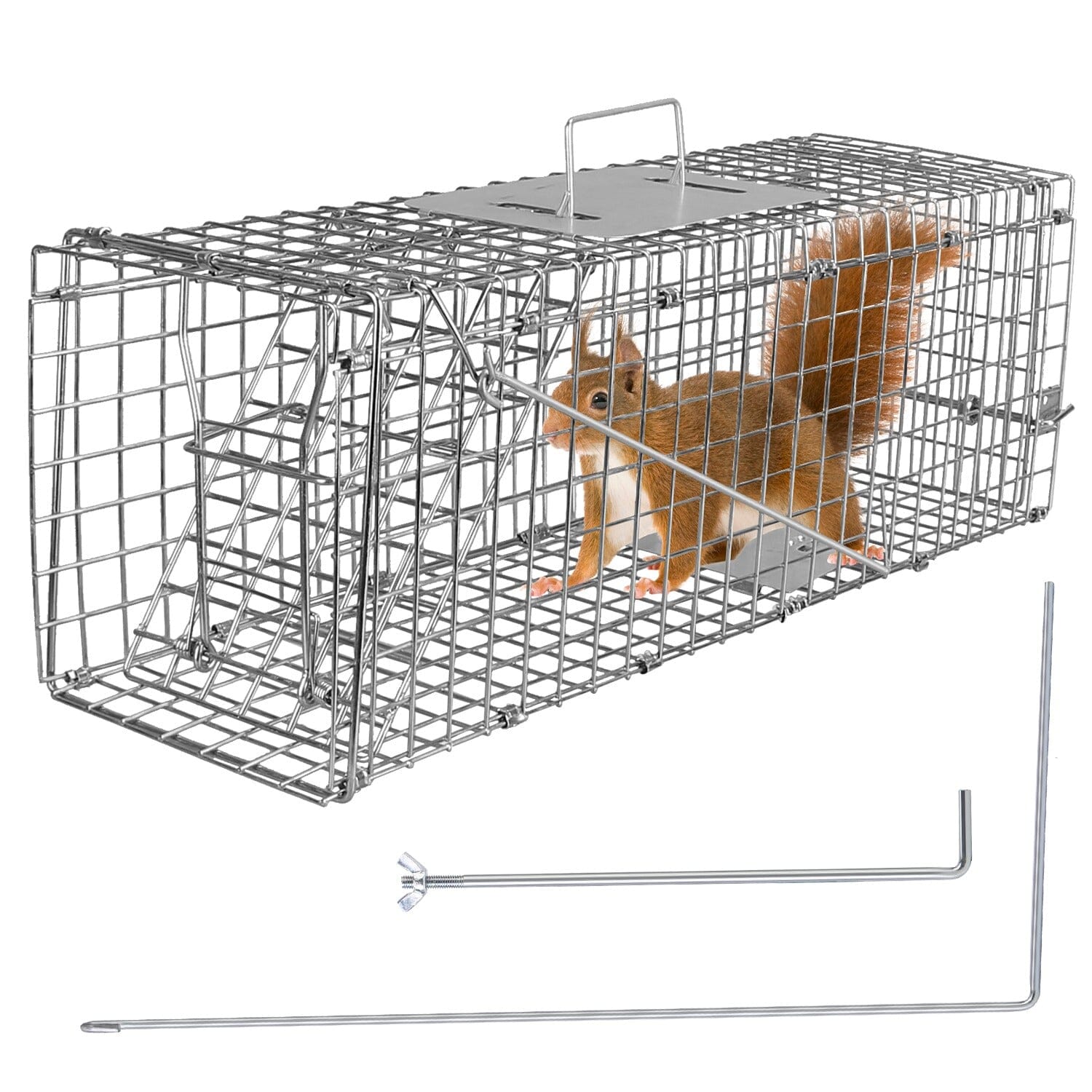 Humane Live Animal Rodent Cage Collapsible Galvanized Wire Inexpensive Sale Online