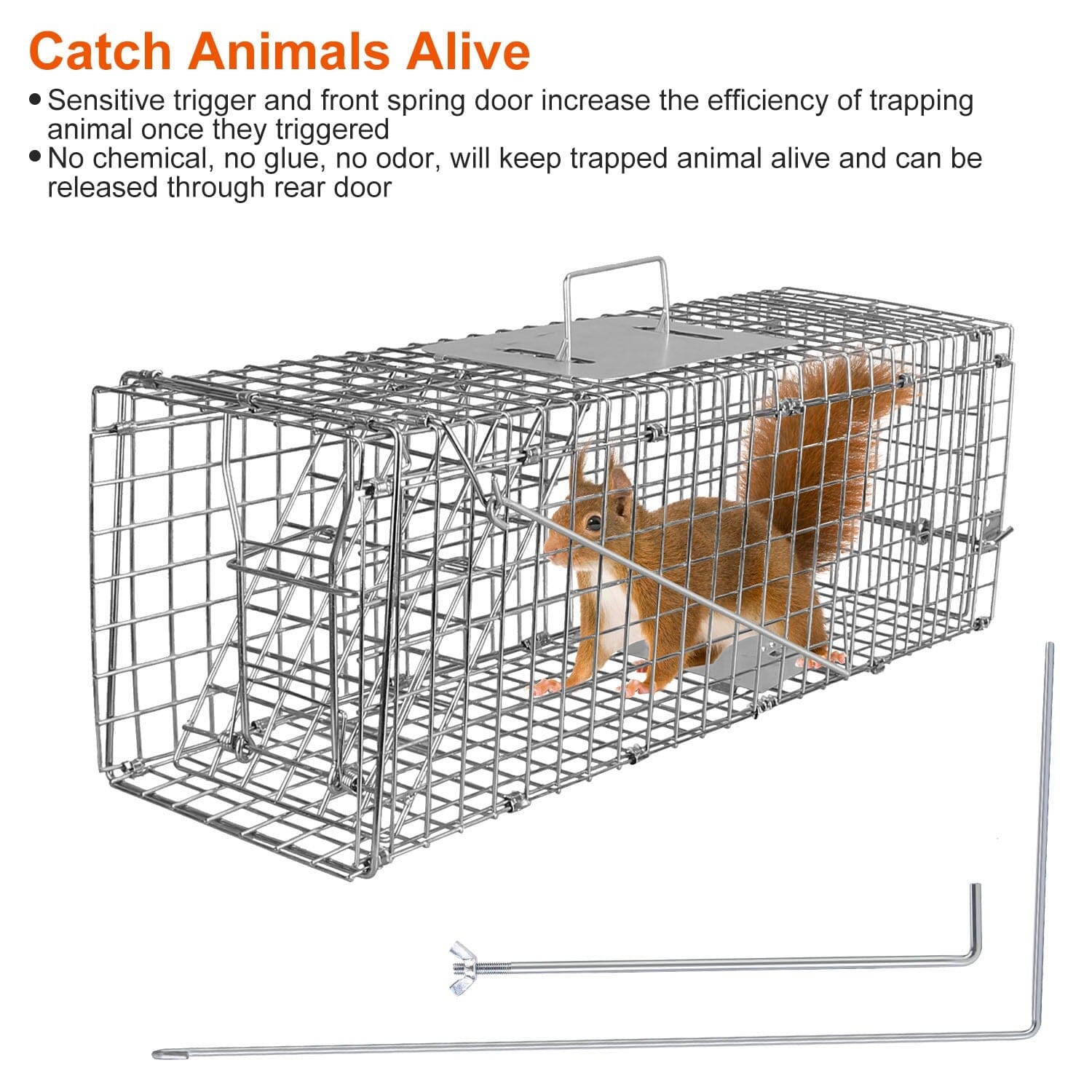 Humane Live Animal Rodent Cage Collapsible Galvanized Wire Inexpensive Sale Online