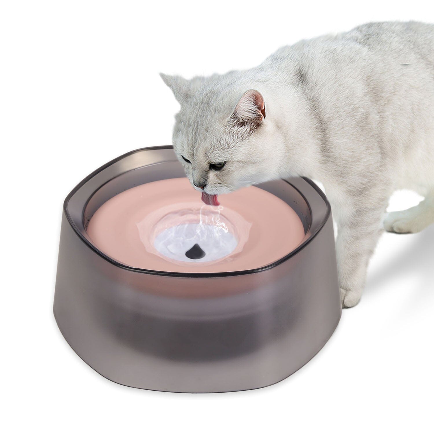 No Spill Dog Cat Water Bowl Spill Proof Slow Water Feeder 2025 Cheap Pice