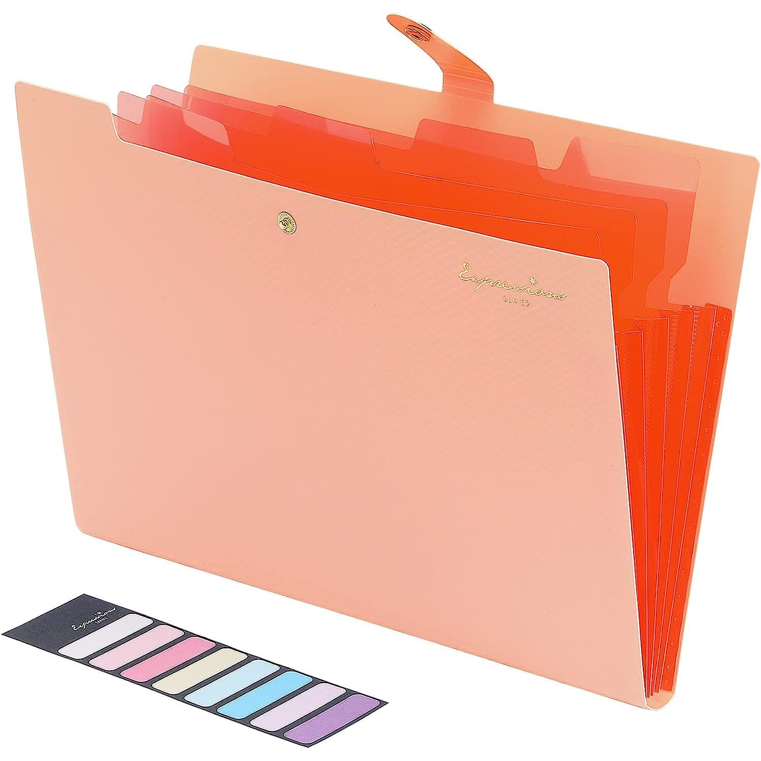 5 Pocket Folder with Labels, Letter Size Expanding File Folder Organizer Best Store To Get Cheap Online