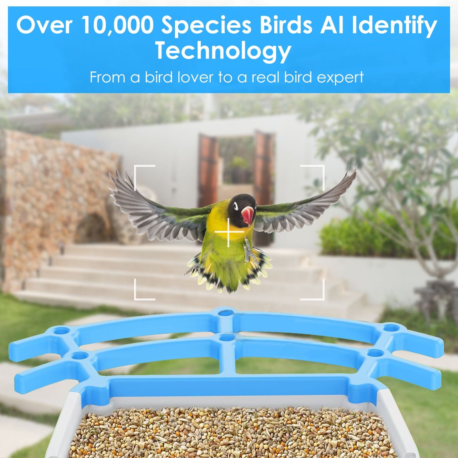 Solar Powered Smart Bird Feeder with PIR Motion AI Two-Way Audio Discount Collections