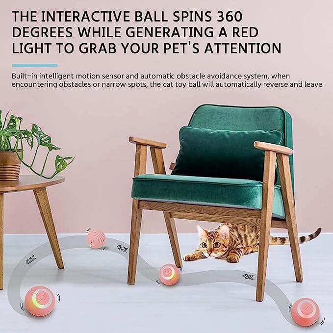 Found Notice Smart Interactive Cat Toy Best Seller For Sale