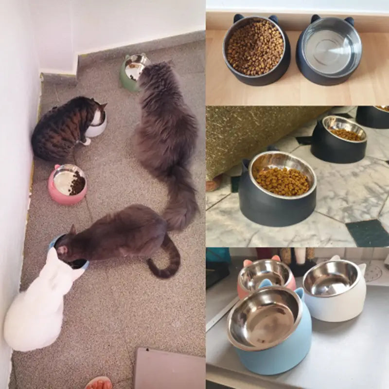 Premium Stainless Steel Cat & Dog Bowls - Non Slip Base for Food & Water Tumblr Cheap Pice