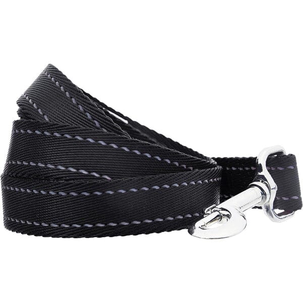 5 Foot Padded Single Handle Dog Leash Latest Collections Online