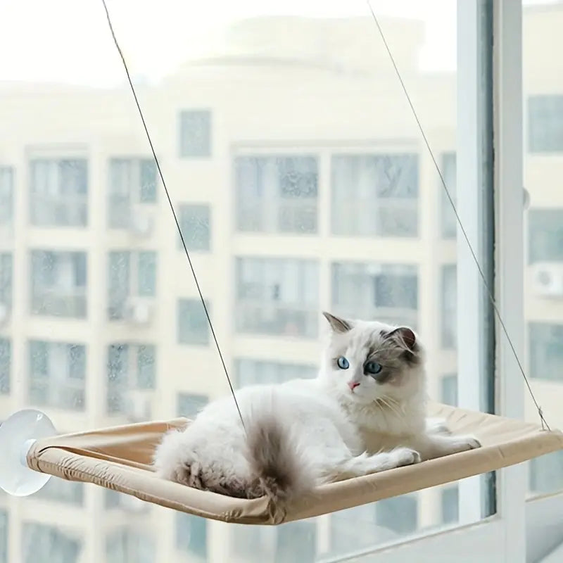 360∞ Cat Window Hammock: A Space-Saving Sunny Seat for Indoor Cats! Outlet Find Great