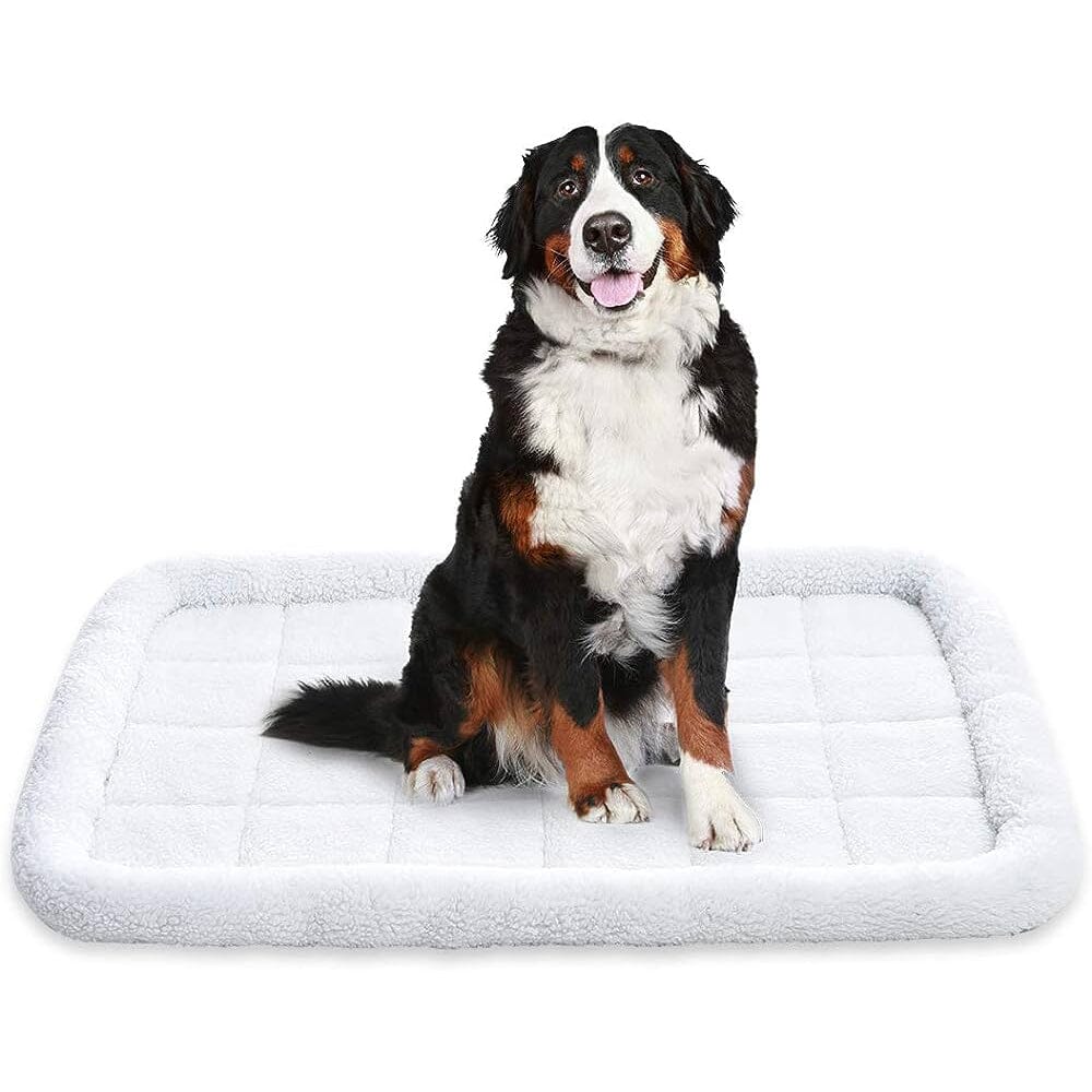 Amazon Basics Faux Sherpa Padded Bolster Pet Bed Discount Shop