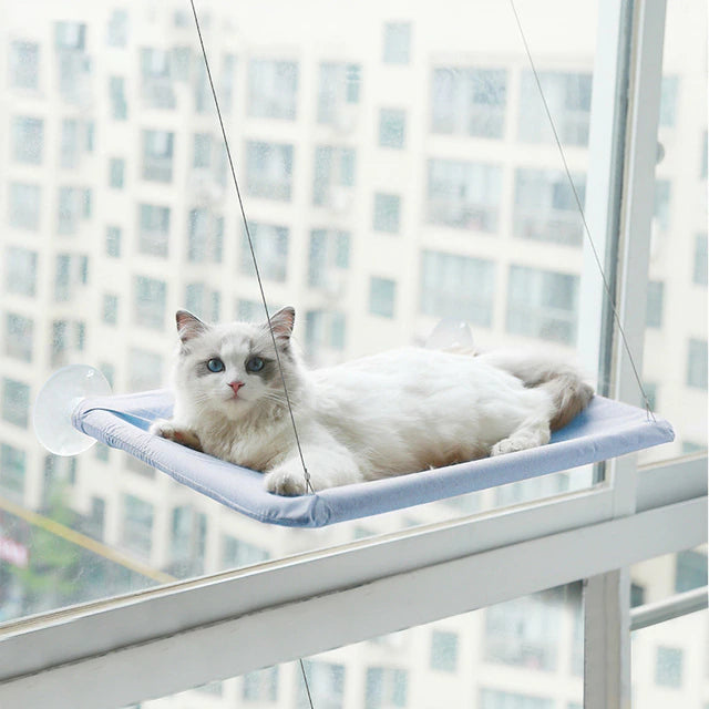 360∞ Cat Window Hammock: A Space-Saving Sunny Seat for Indoor Cats! Outlet Find Great