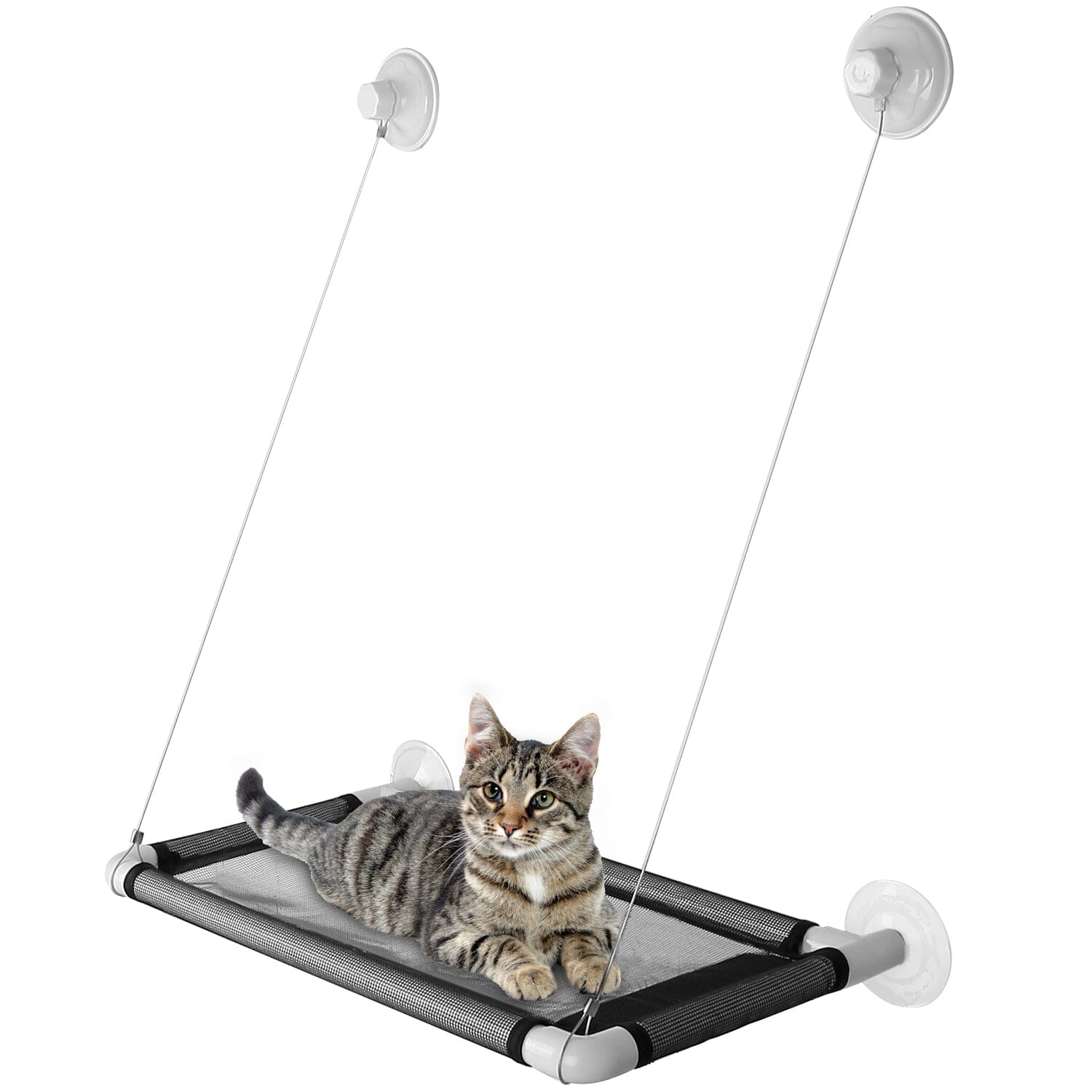 Cat Window Perch Cat Hammock Window Seat Buy Cheap 100% Original