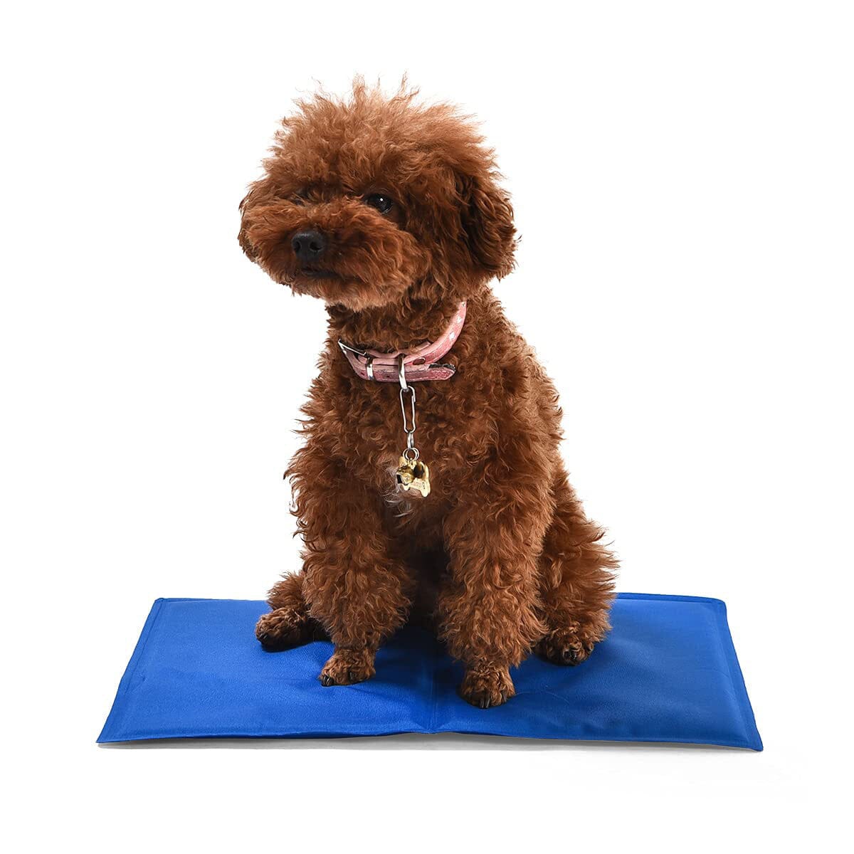 Pet Cooling Mat With Mastercard For Sale