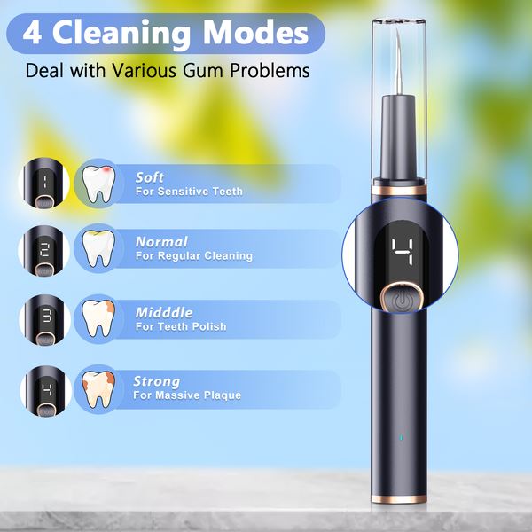 Electric Plaque Remover for Teeth, Rechargeable Teeth Cleaning Kit with 4 Modes Buy Cheap Discounts