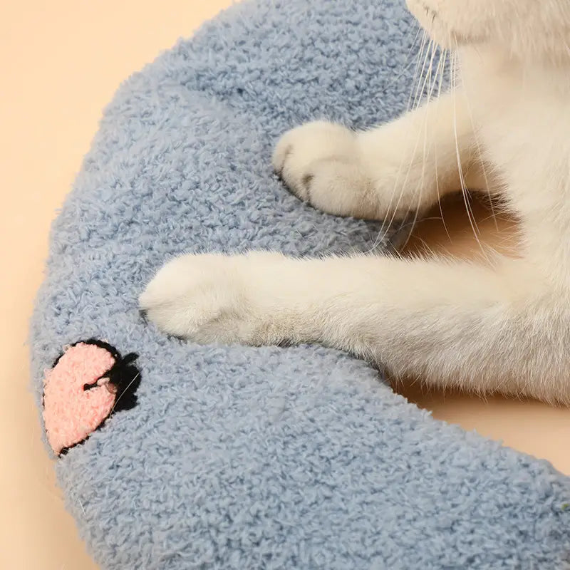 Soft Fluffy Pillows For Indoor Cats Sale Tumblr