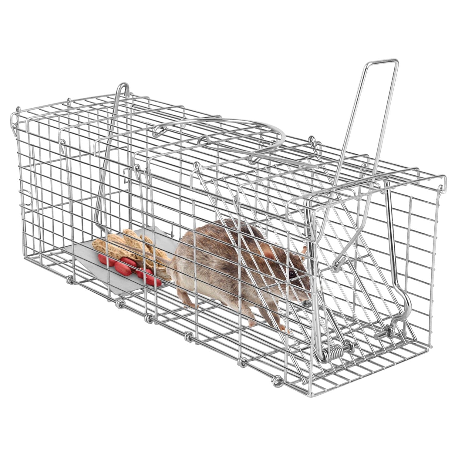 Foldable Rat Trap Cage Humane Live Rodent Trap Cage Original Online