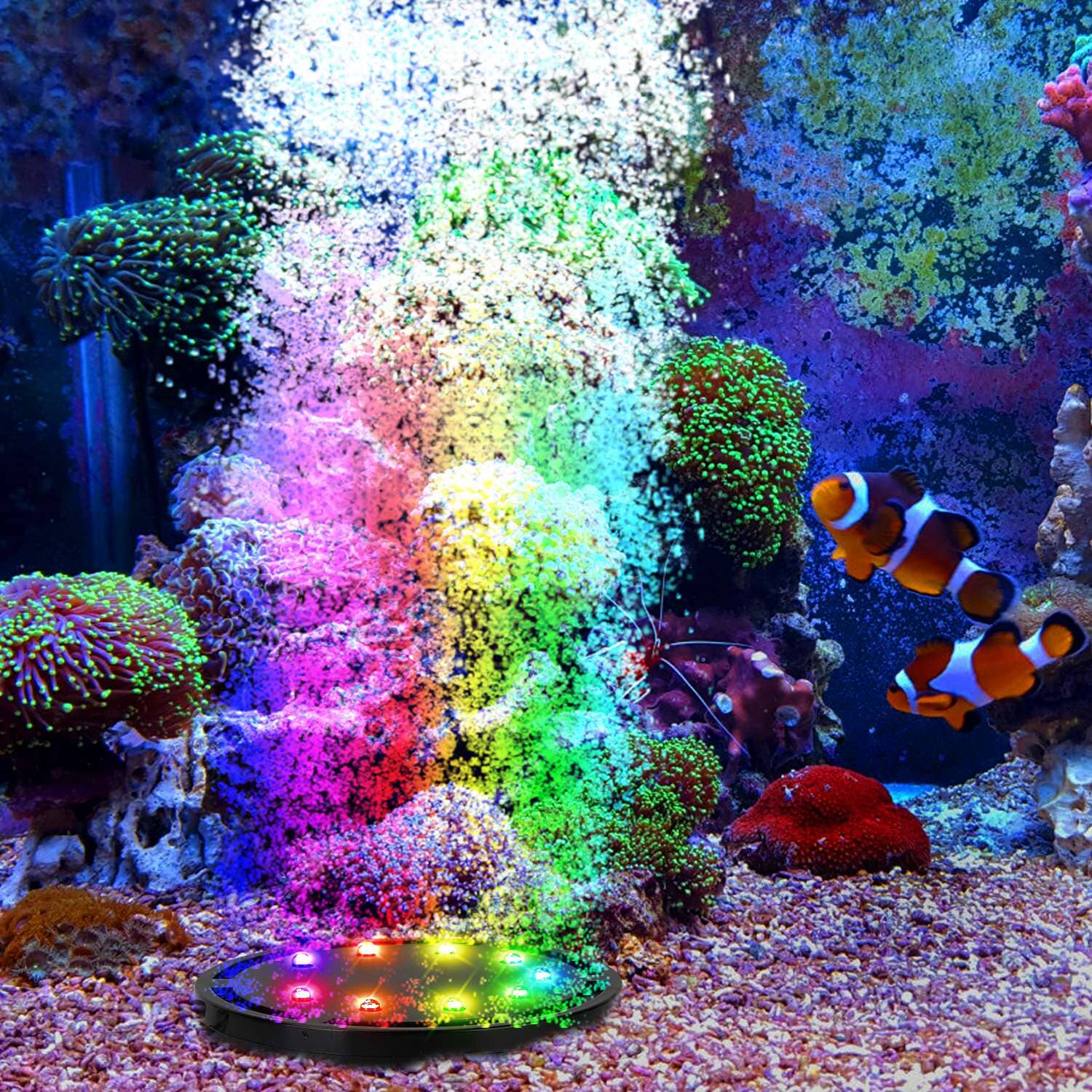 4in Multi-Colored LED Aquarium Air Bubble Lamp Footlocker Pictures