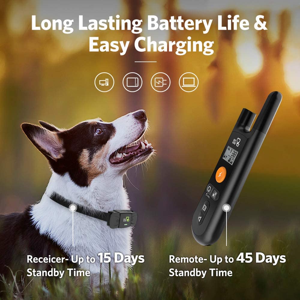 Rechargeable Dog Shock Collar Discount Choice