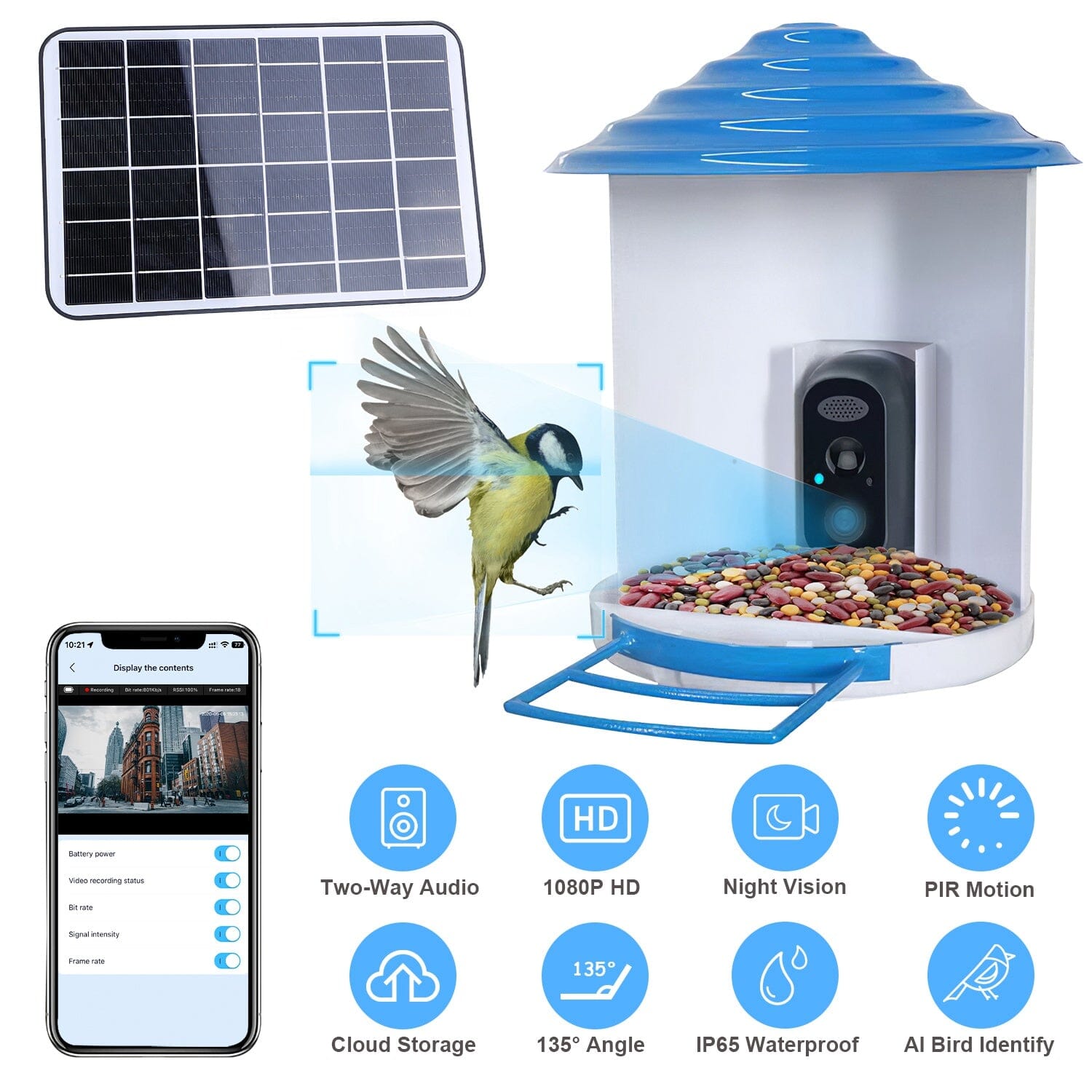 Smart Bird Feeder with Solar Powered Camera 1080P HD AI Identify PIR Huge Surprise Cheap Online