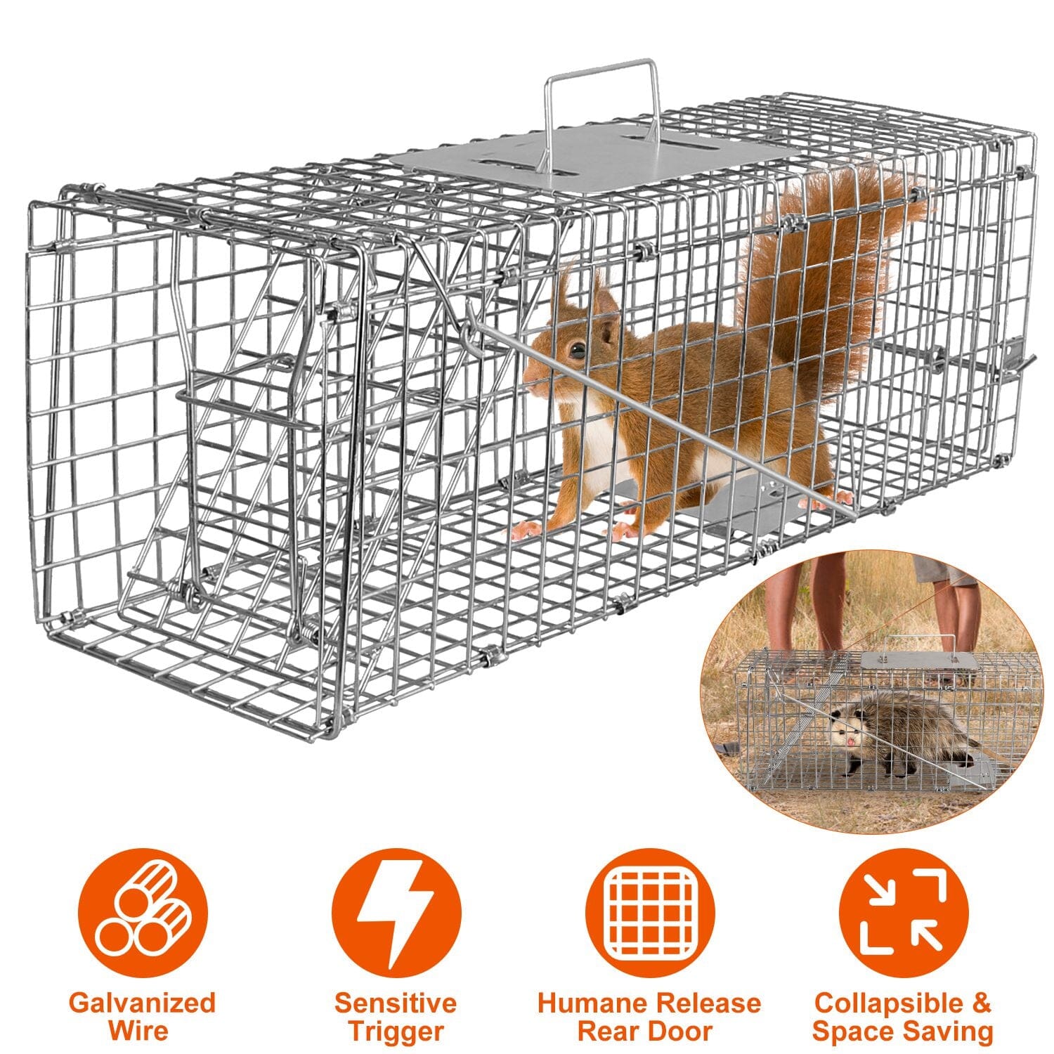 Humane Live Animal Rodent Cage Collapsible Galvanized Wire Inexpensive Sale Online