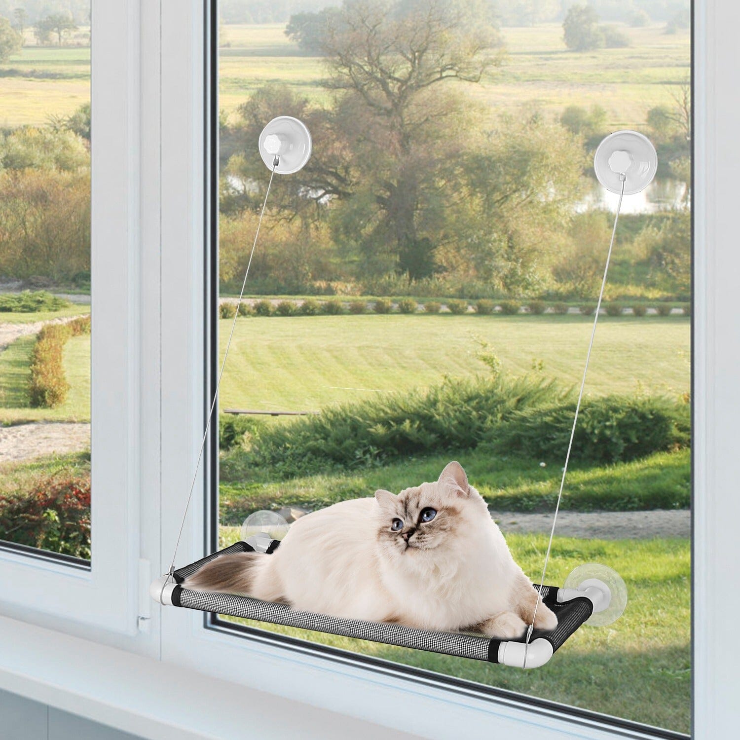 Cat Window Perch Cat Hammock Window Seat Buy Cheap 100% Original