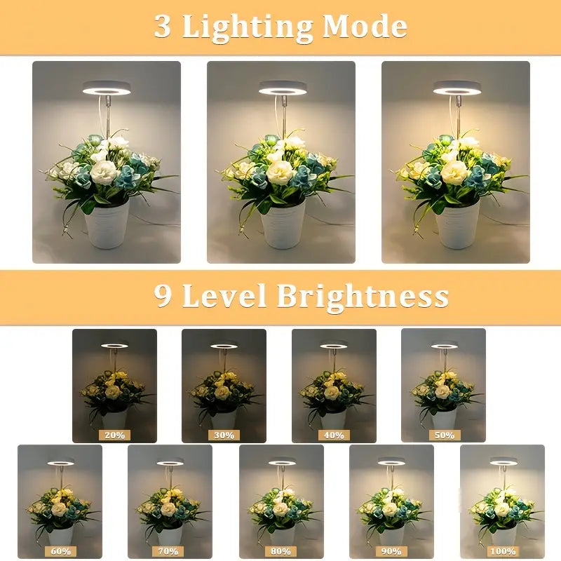 Full Spectrum LED Halo Plant Light With Stand Height Adjustable Auto Timer Browse Cheap Online