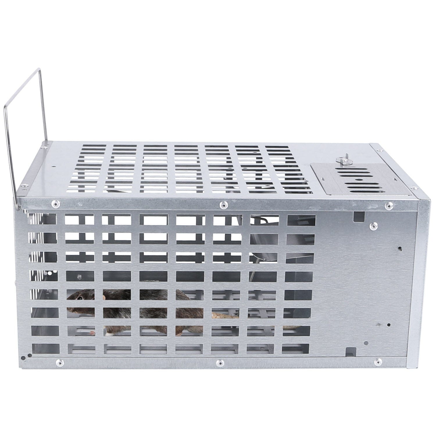 Reusable Metal Rat Cage Catch Release Continuous Capture Sale Lowest Pice