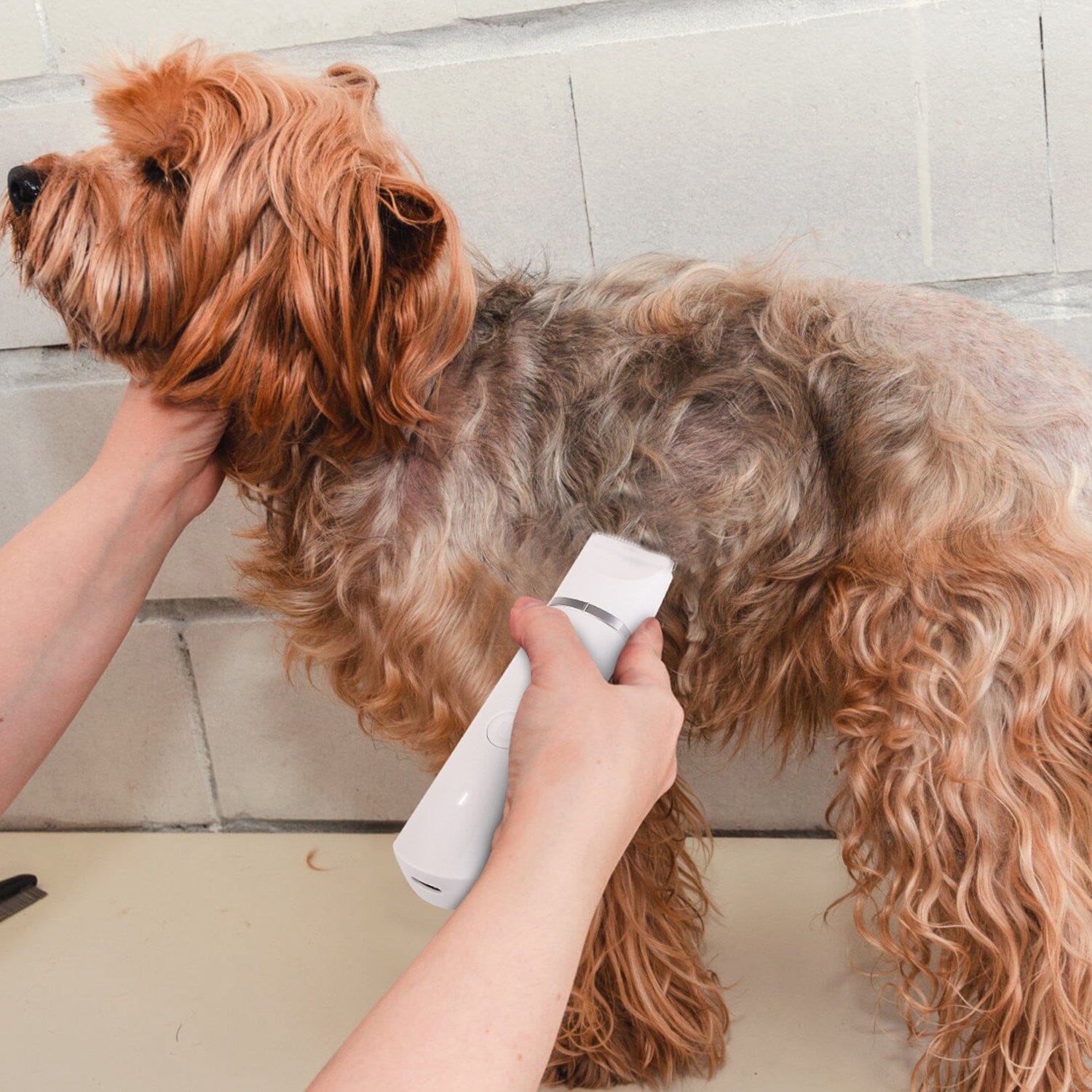 4-in-1 Electric Pet Dog Cat Grooming Kit Cordless Rechargeable Sale Footlocker
