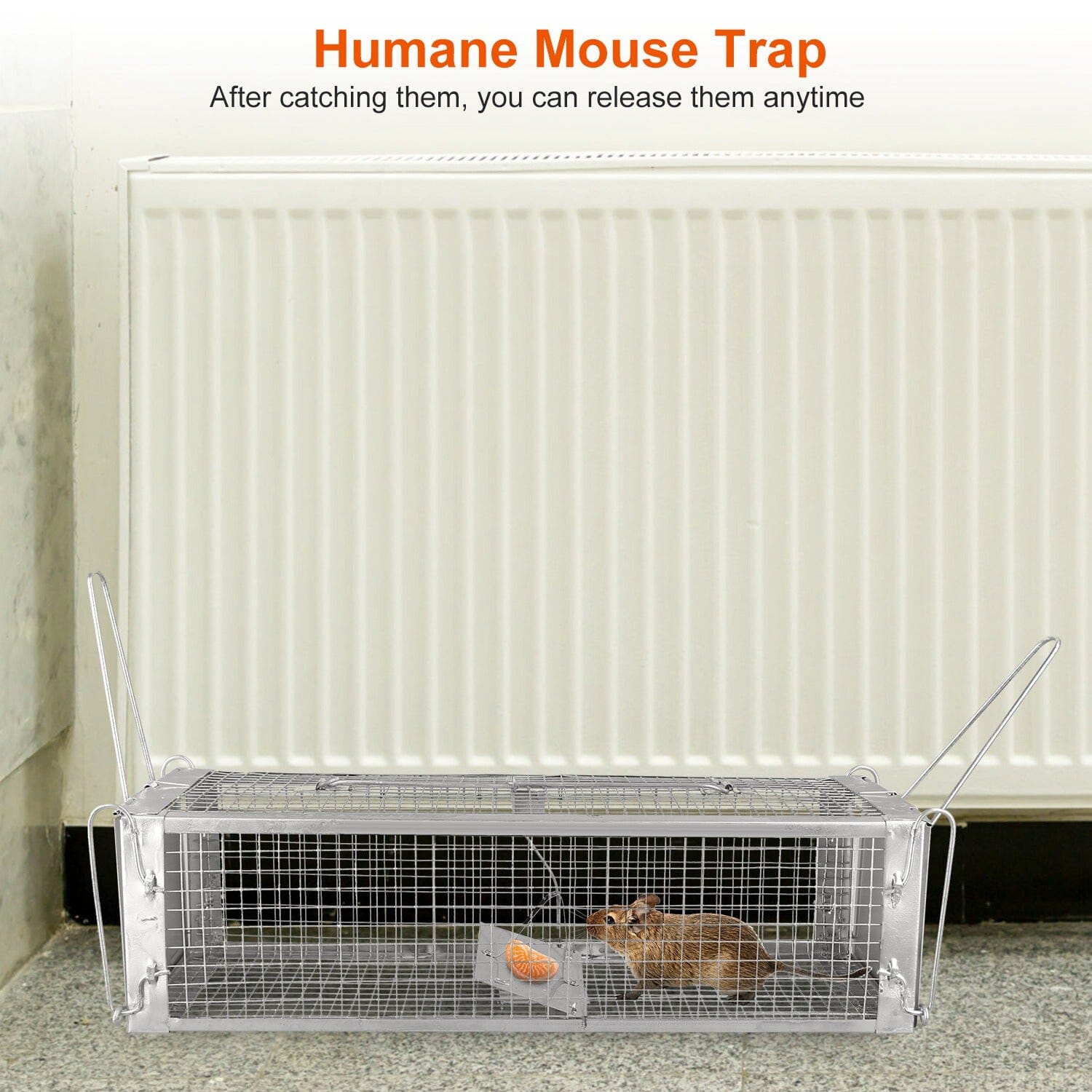 Dual Door Rat Trap Cage Humane with 2 Detachable U Shape Rod Latest Sale Online