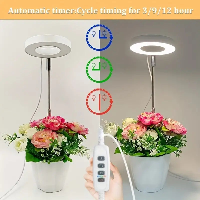 Full Spectrum LED Halo Plant Light With Stand Height Adjustable Auto Timer Browse Cheap Online