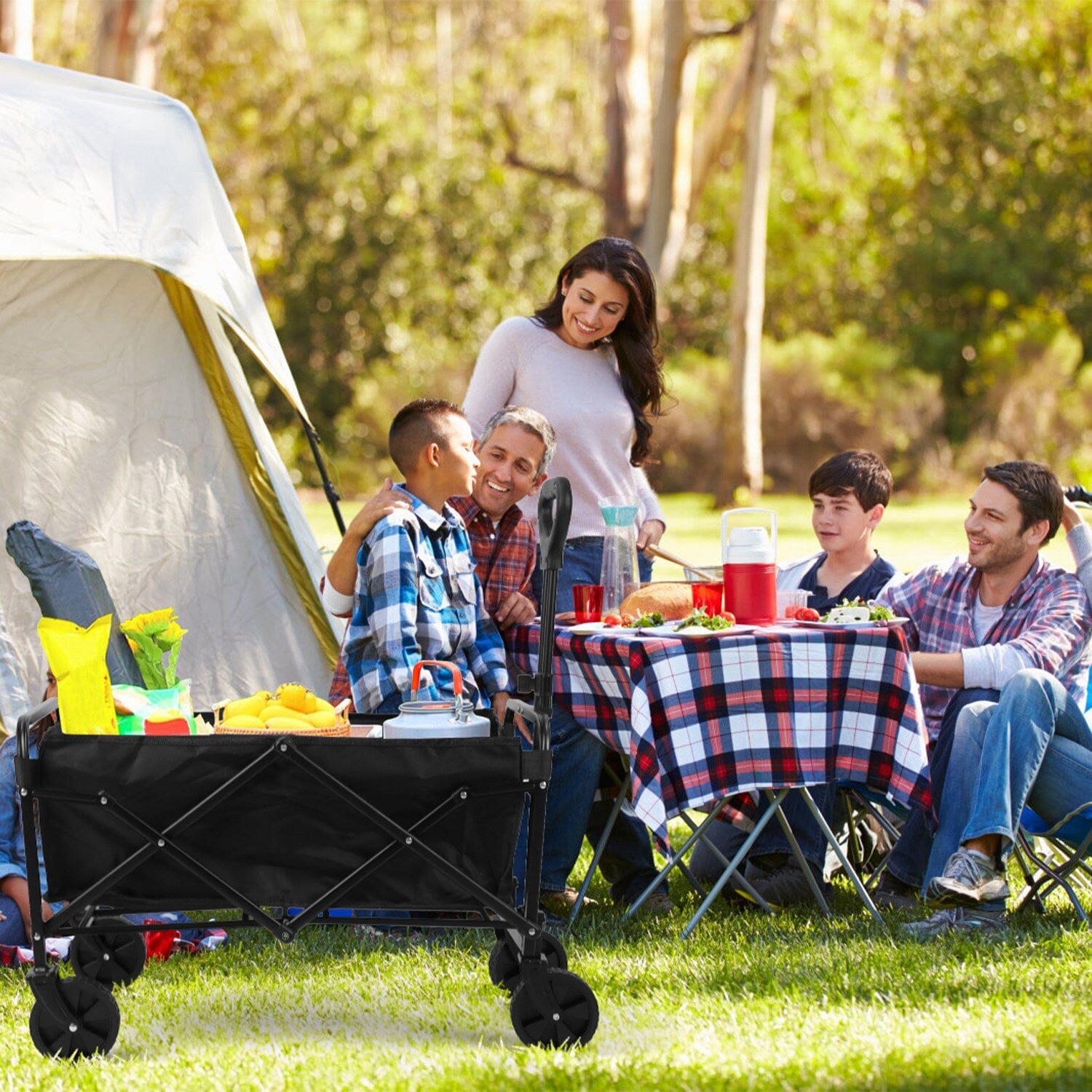 Collapsible Folding Wagon Cart Best Place Online