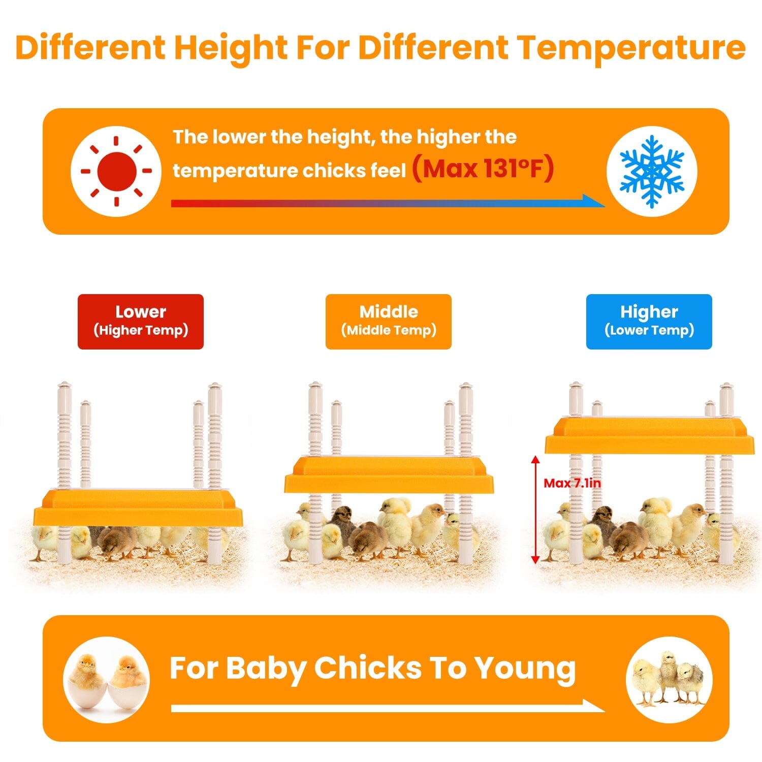 15W Chicken Brooder Heater with Adjustable  Height Angle Max 131℉ Shipping Outlet Store Online