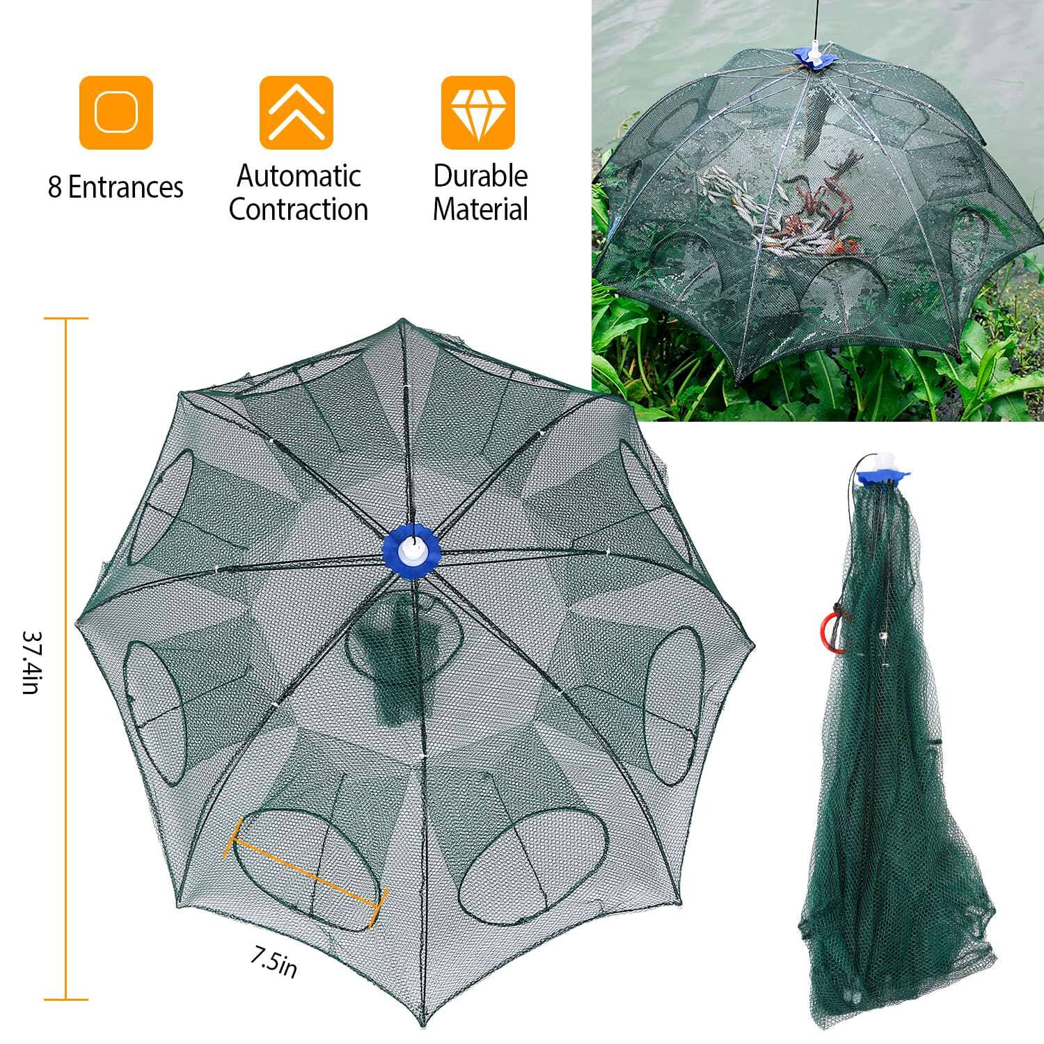 Foldable Fishing Bait Net Trap Visit Cheap Pice