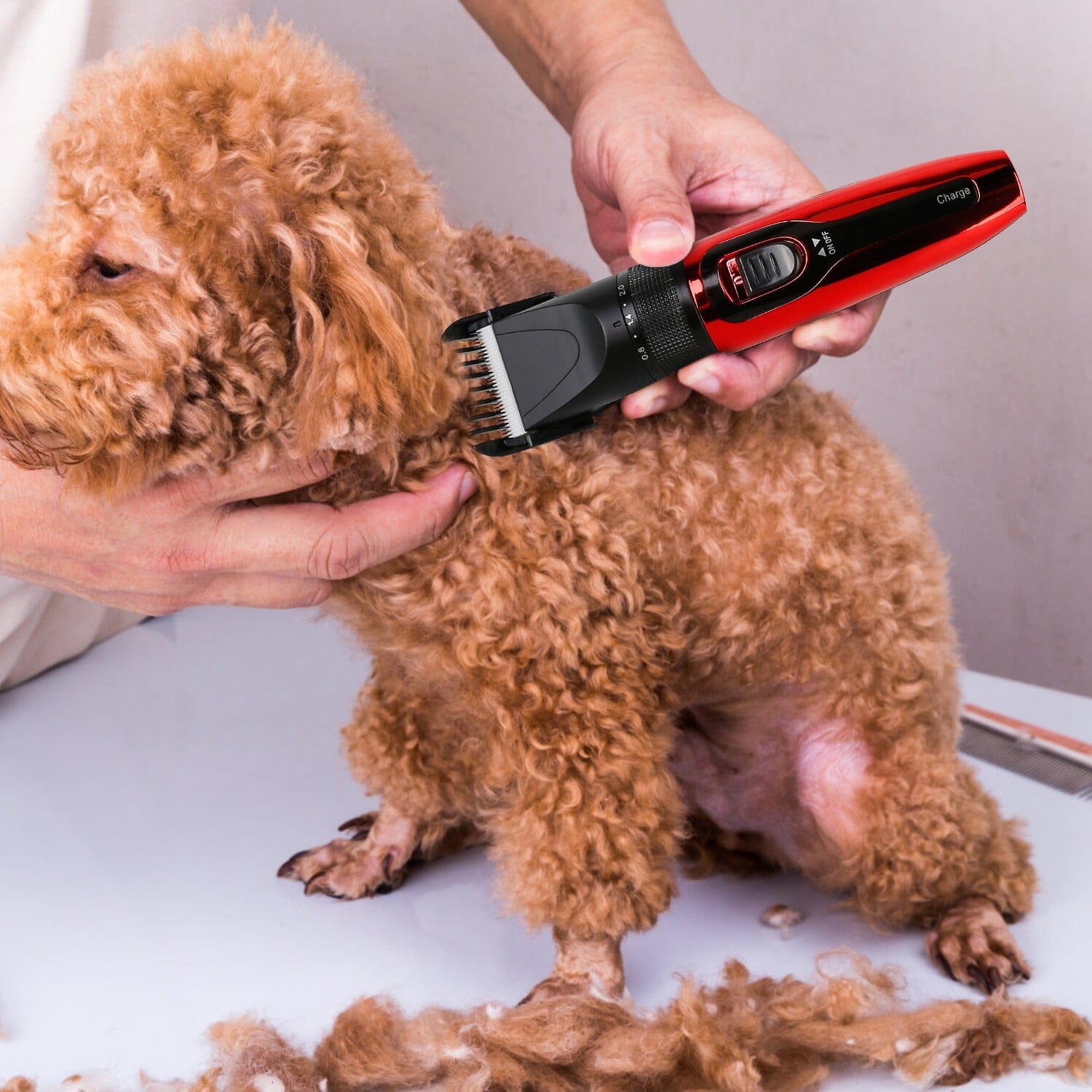 Rechargeable Cordless Pet Grooming Kit Quality From China Cheap