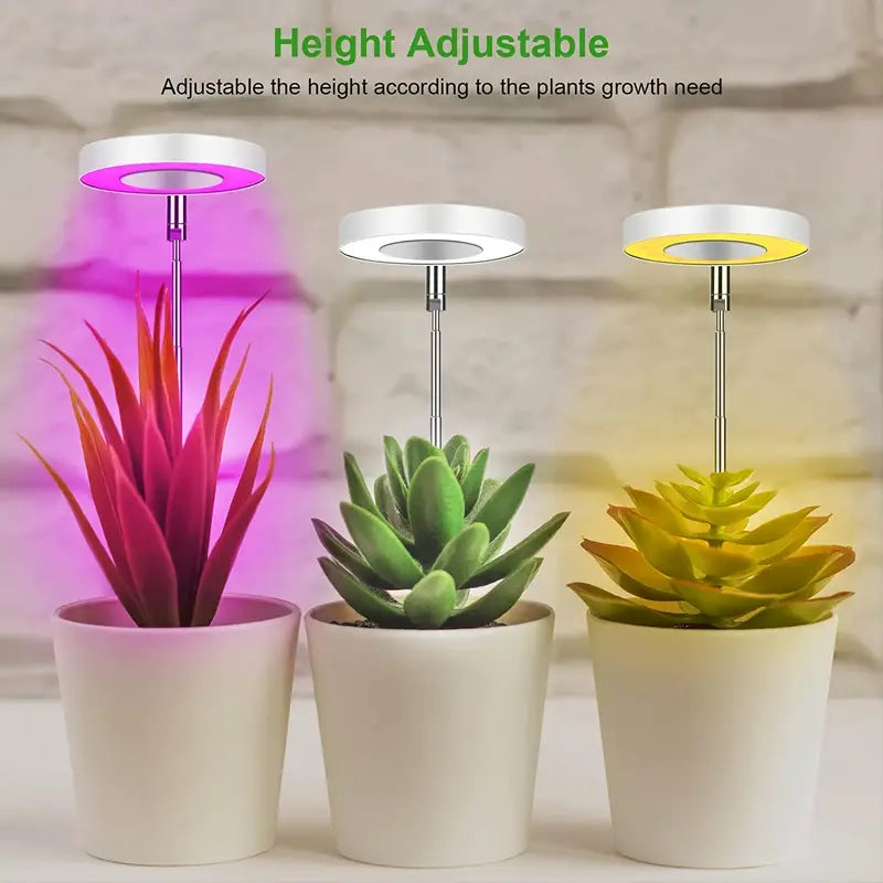 Full Spectrum LED Halo Plant Light With Stand Height Adjustable Auto Timer Browse Cheap Online