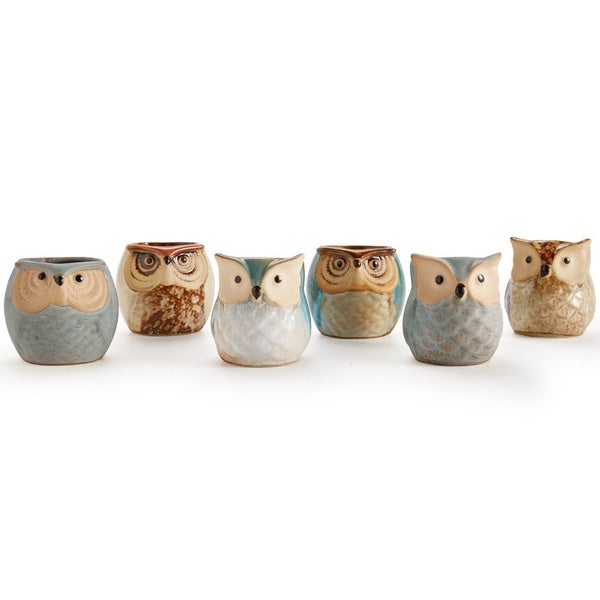 6-Pack: 2.5 Inch Owl Pot Ceramic Base Best Wholesale Sale Online