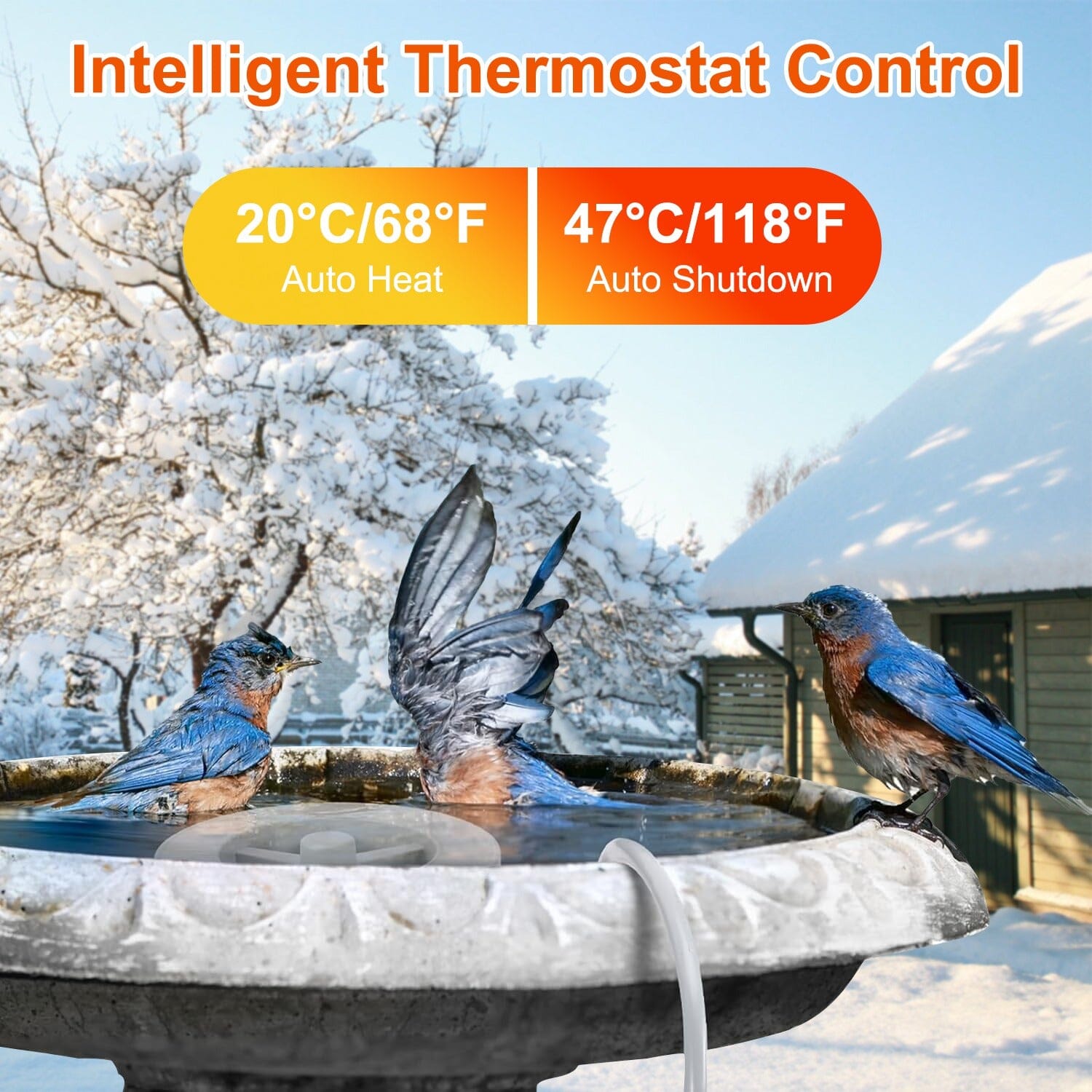 70W Bird Bath Deicer Aluminum Alloy Water Heater with Thermostat Auto Shutdown Pay With Visa