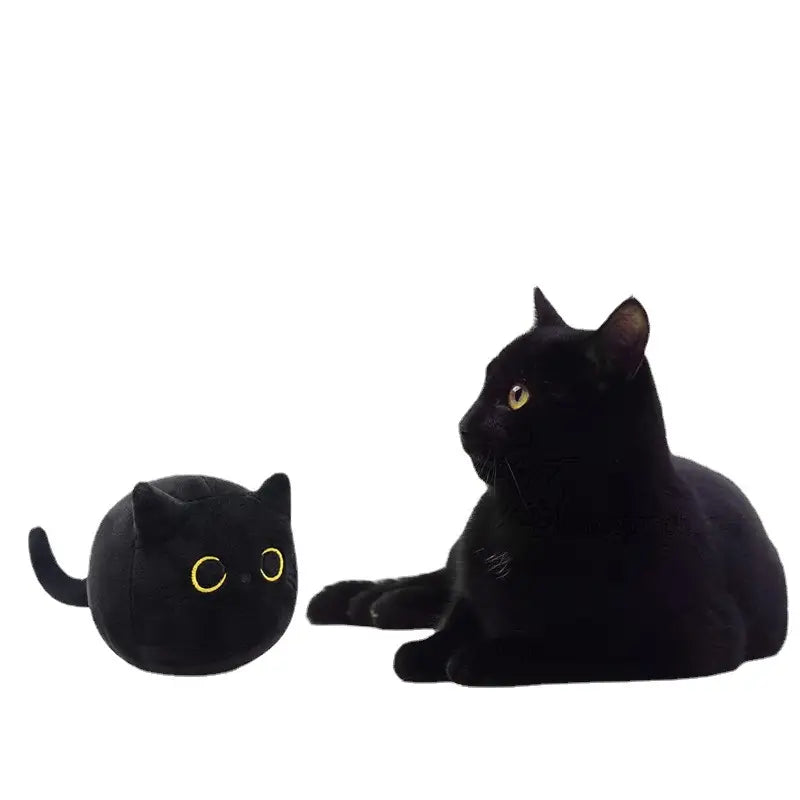 Black Cat Plush Toy Cheap Pictures