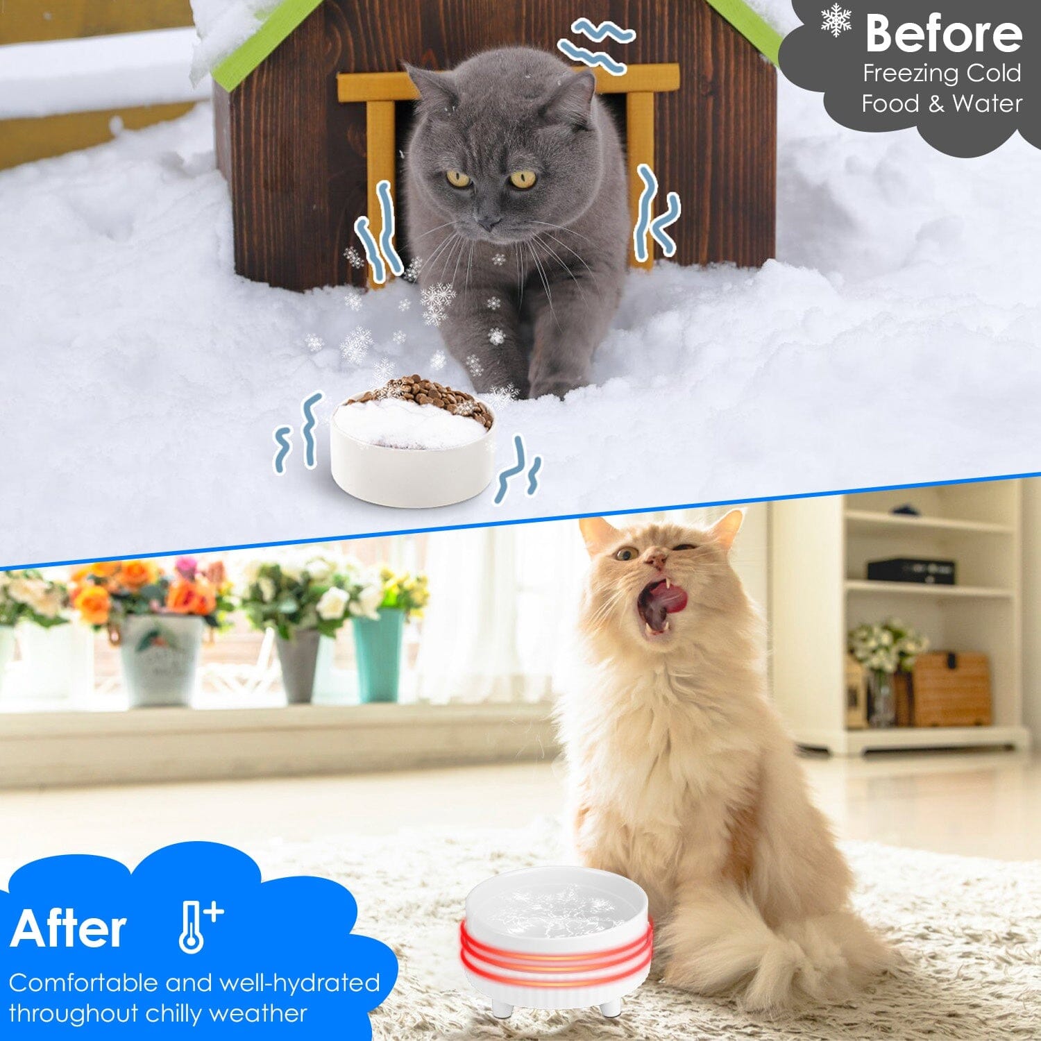 Ceramic Heated Pet Water Bowl Food Warmer Discount View