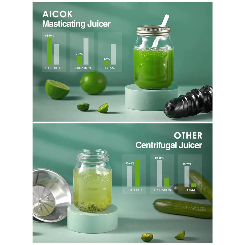 Slow Masticating Juicer Extractor Cold Press Juicer with Brush Clearance Best Place