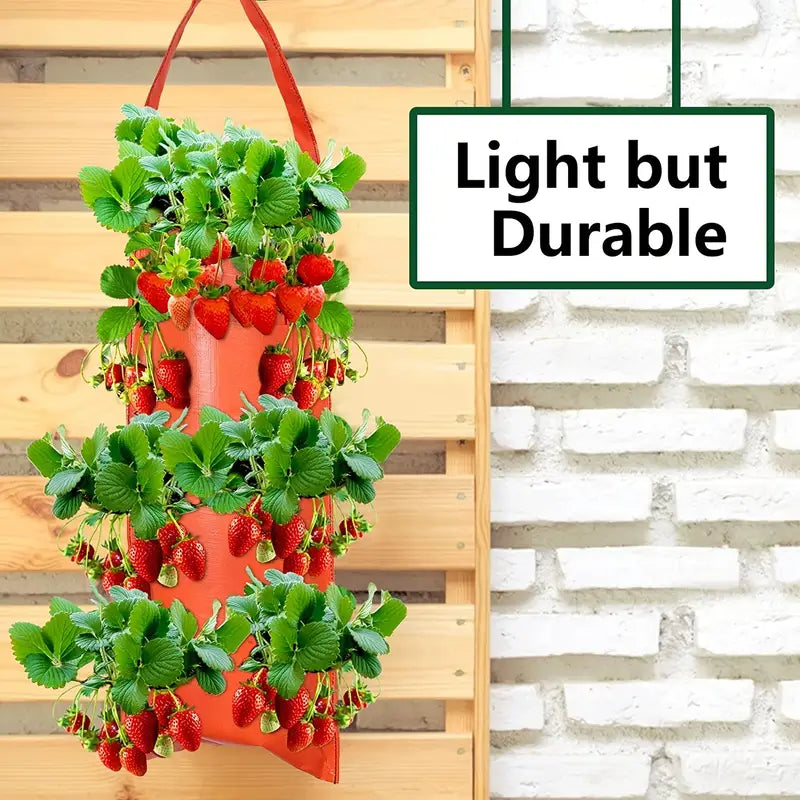 Upside Down Tomato Grow Bag Explore Online