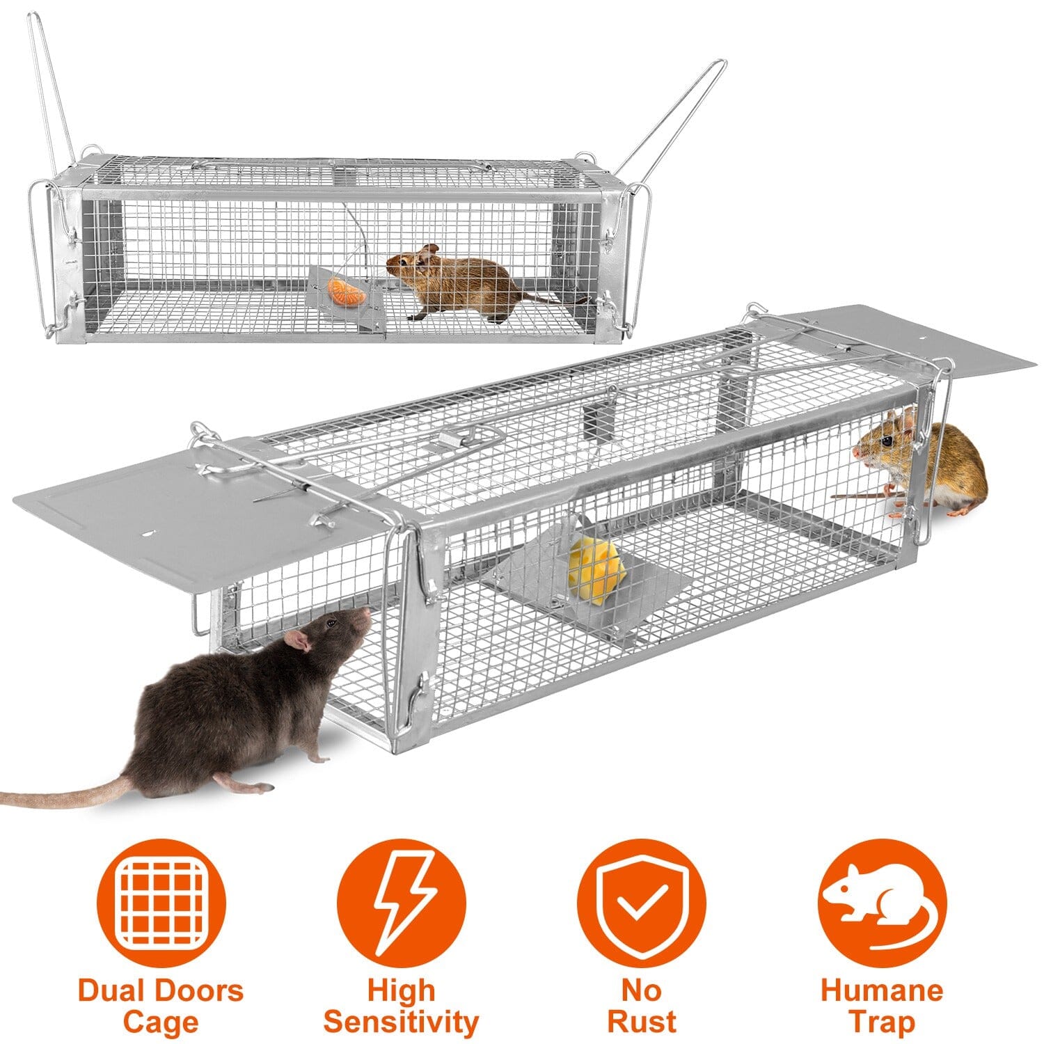 Dual Door Rat Trap Cage Humane with 2 Detachable U Shape Rod Latest Sale Online