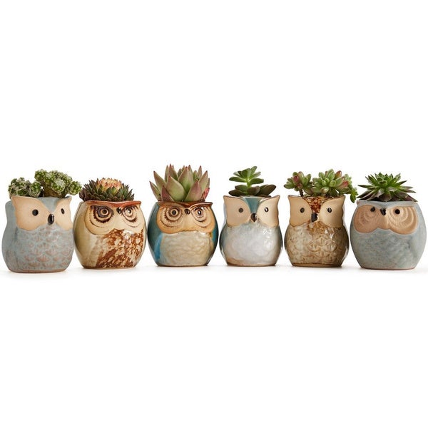 6-Pack: 2.5 Inch Owl Pot Ceramic Base Best Wholesale Sale Online