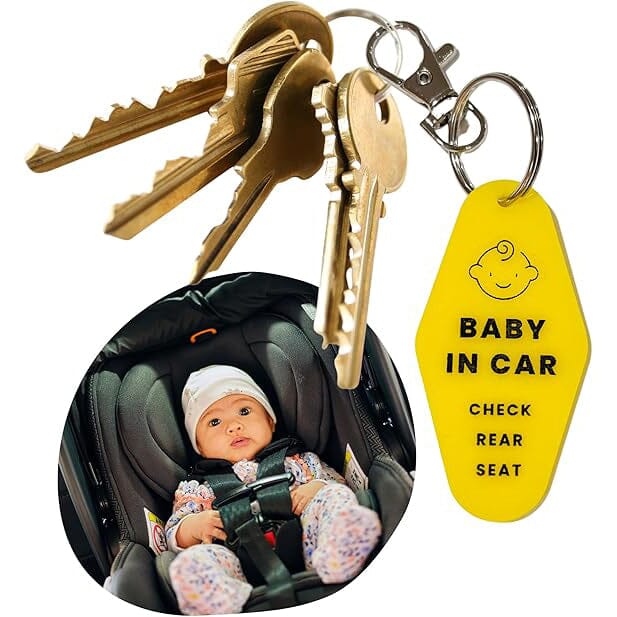 2-Pack: Safe Baby in Car Reminder Keychain Sale New Styles