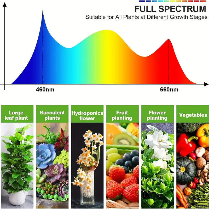 Grow Lights for Seed Starting Auto ON & Off Full Spectrum LED Plant Lights with Timer Cheap Pice Original