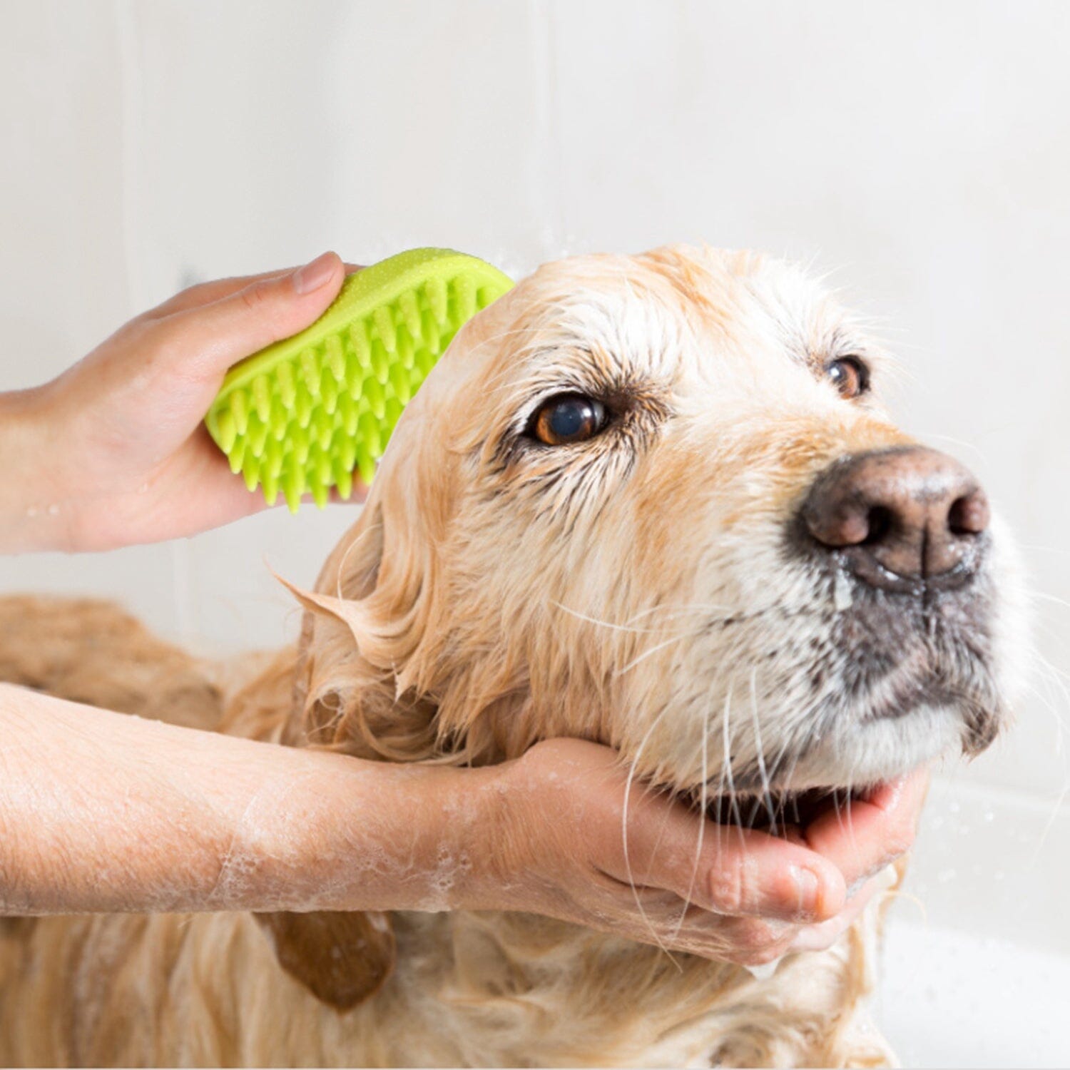 Dog Bath Brush Anti-Skid Pet Grooming Shower Silicone Massage Comb Cheap Extremely