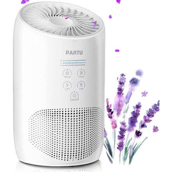 HEPA Air Purifier - Smoke Air Purifiers for Home with Fragrance Sponge Popular Sale Online