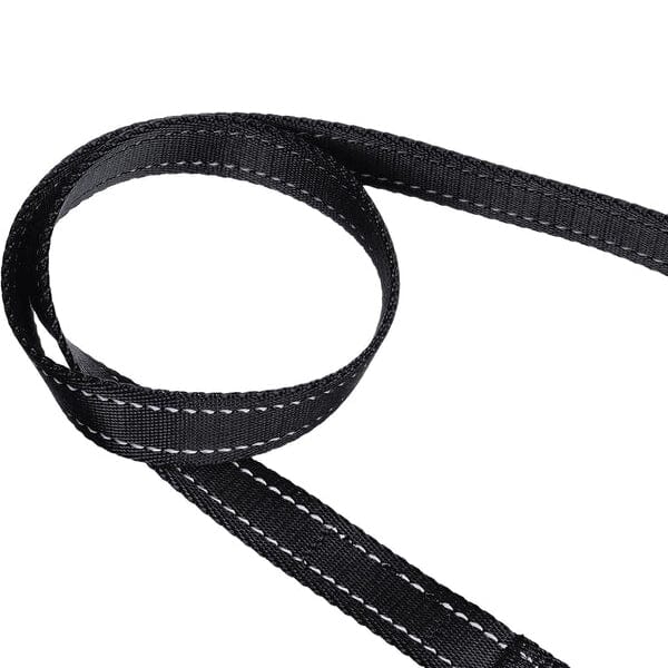 5 Foot Padded Single Handle Dog Leash Latest Collections Online