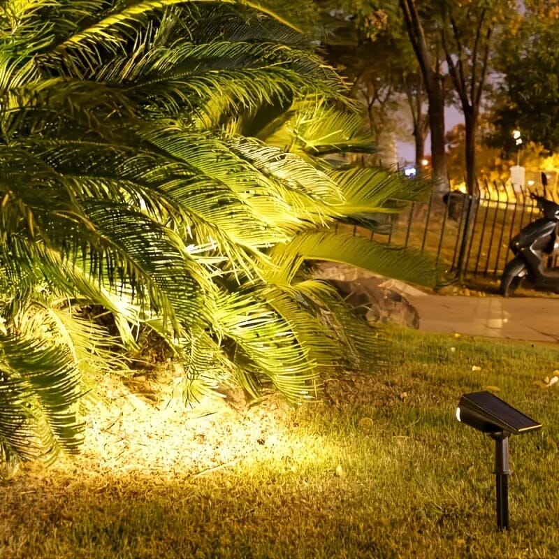 Super Bright Solar Tree Lights Websites Online