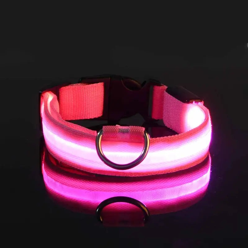 LED Dog Collars Light Adjustable Flashing Luminous Collar Night Anti-Lost Cheap Sale Perfect