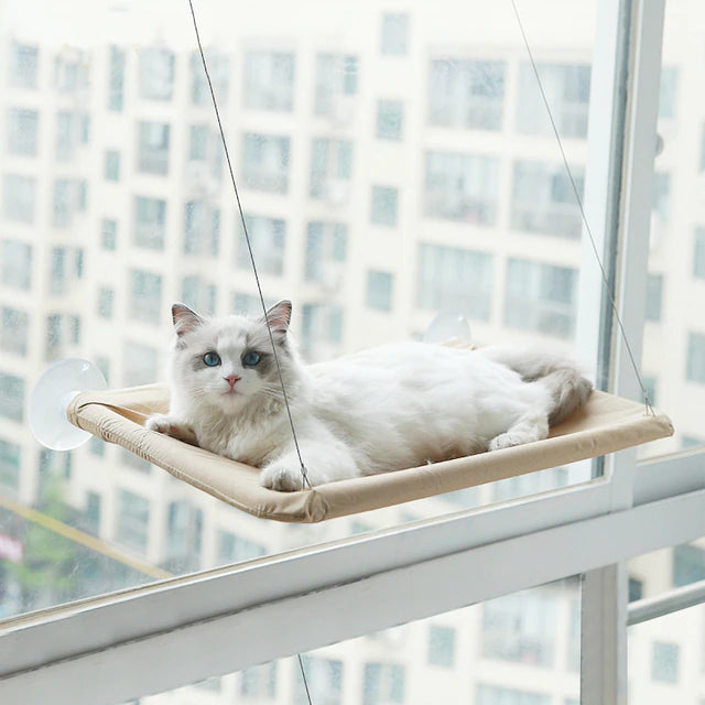 360∞ Cat Window Hammock: A Space-Saving Sunny Seat for Indoor Cats! Outlet Find Great