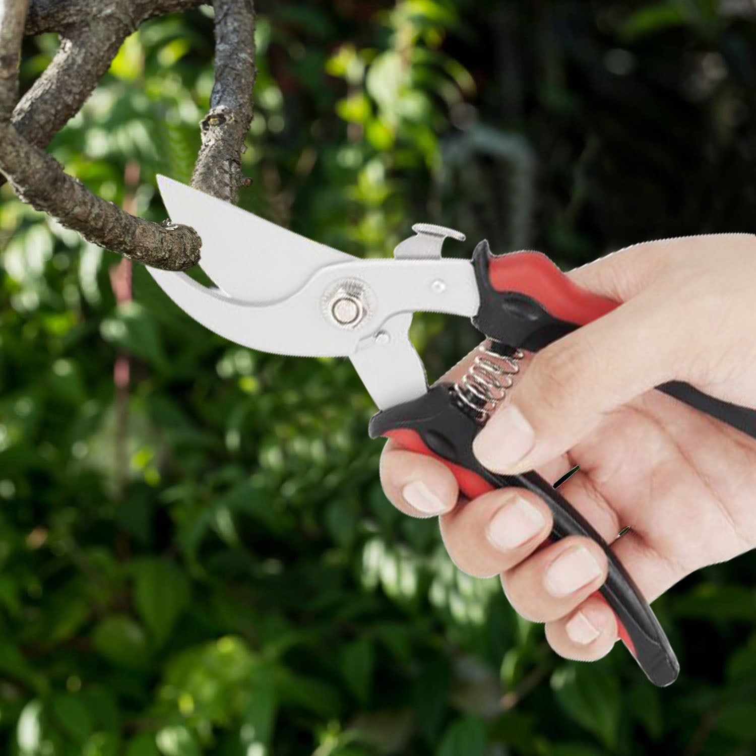 Garden Prune Shears Free Shipping Best Store To Get